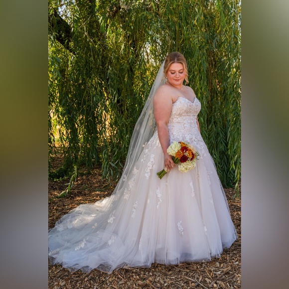David's Bridal Strapless Lace Applique Gown - Picture 1 of 10